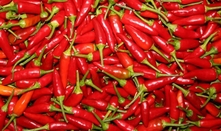 Chillies - produce