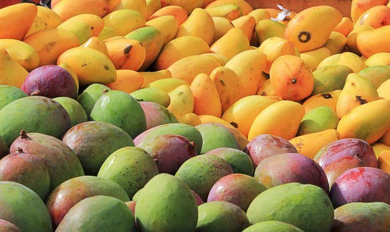 Mango - produce 2