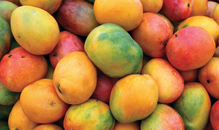 Mango - produce