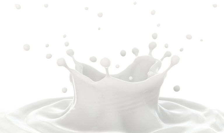 Milk - produce